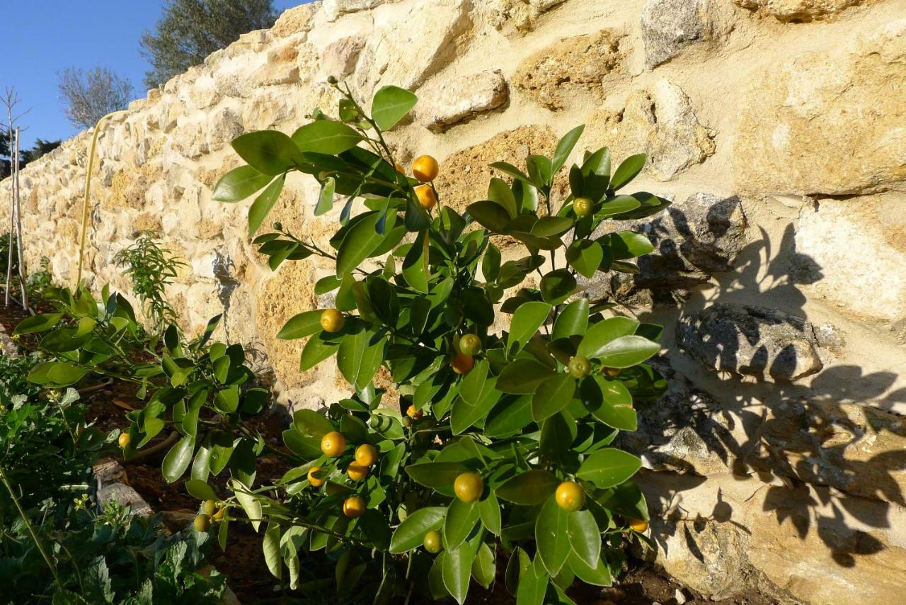 Finca Du Ressourcement Higueron Apartment Vejer de la Frontera Exterior photo