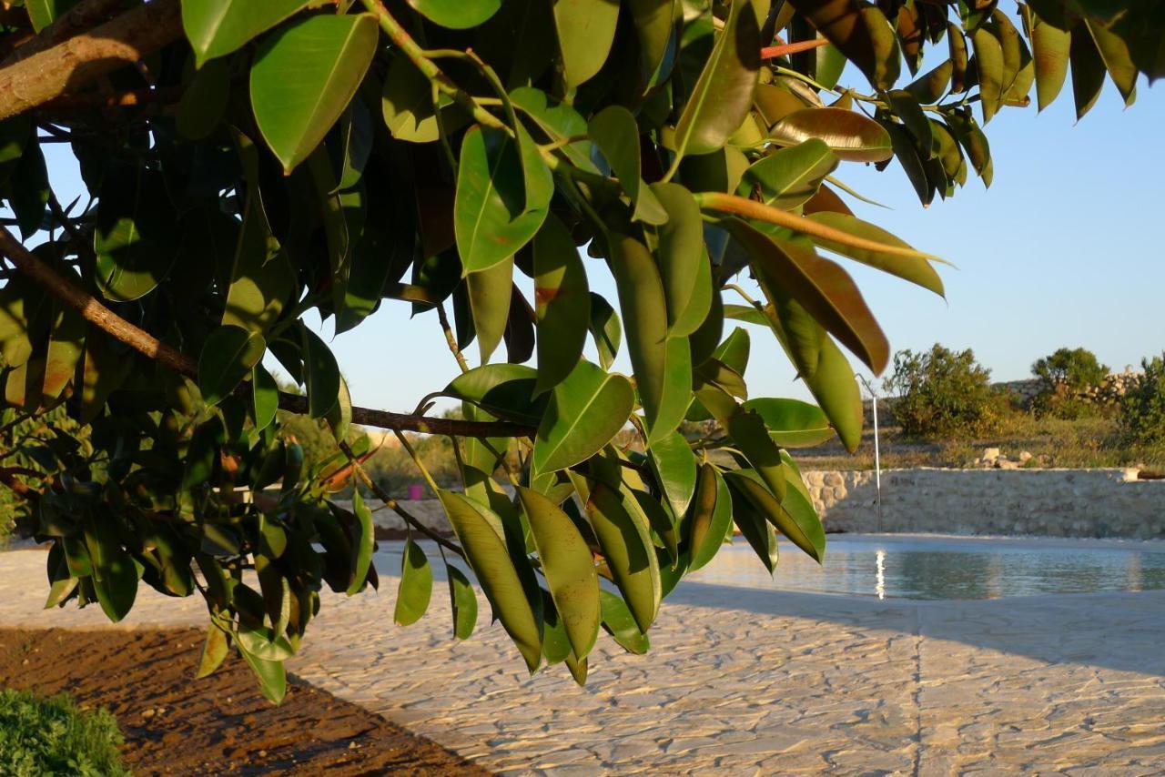 Finca Du Ressourcement Higueron Apartment Vejer de la Frontera Exterior photo